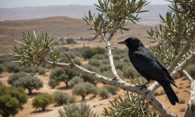 nature s sign in israel