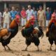 cockfighting legality in thailand