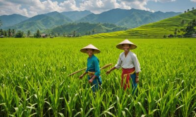 produksi beras dan jagung mencapai puncaknya